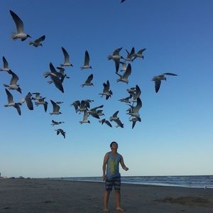 Meet your Posher, Luan